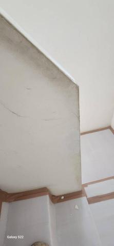 甲殼類大頭呆 - 苗栗縣竹南鎮，社區：La More 施工中