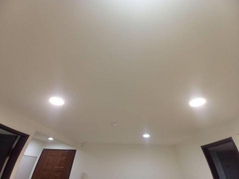 甲殼類大頭呆 - 苗栗縣竹南鎮，社區：La More，油漆完成品