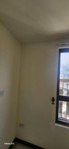 甲殼類大頭呆 - 苗栗縣竹南鎮，社區：LA More，批土完成