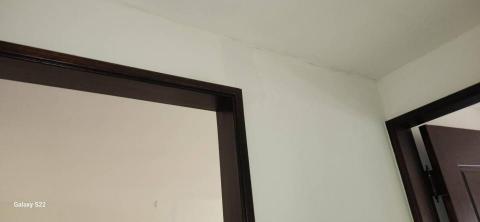 甲殼類大頭呆 - 苗栗縣竹南鎮，社區：LA More，批土完成