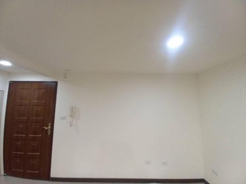 甲殼類大頭呆 - 苗栗縣竹南鎮，社區：La More，油漆完成品