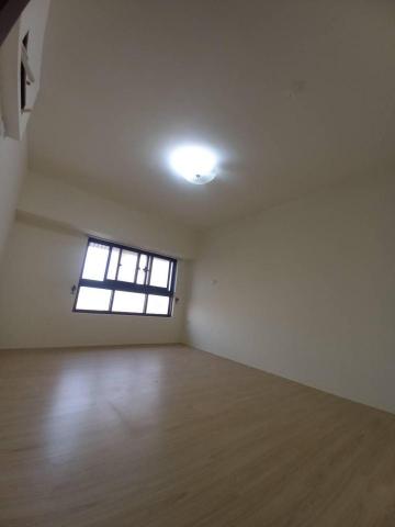 甲殼類大頭呆 - 苗栗縣竹南鎮，社區：La More，油漆完成品