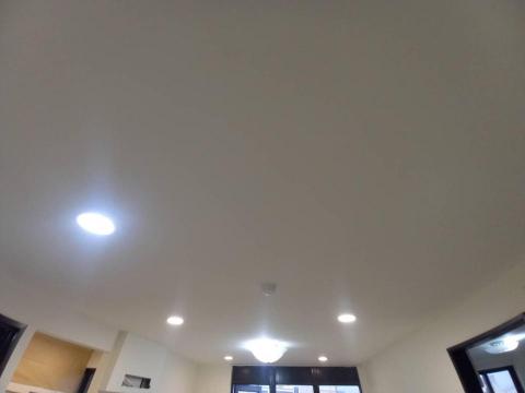 甲殼類大頭呆 - 苗栗縣竹南鎮，社區：La More，油漆完成品