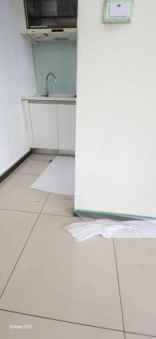 甲殼類大頭呆 - 苗栗縣竹南鎮，社區：LA More，批土完成