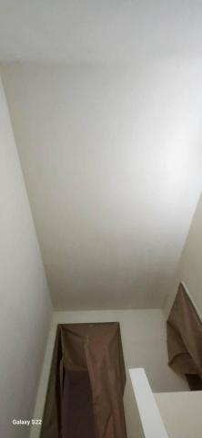 甲殼類大頭呆 - 苗栗縣竹南鎮，社區：LA More，施工中