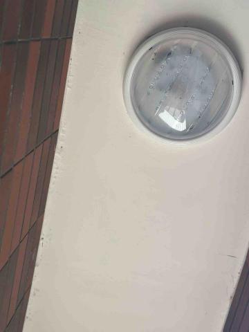 甲殼類大頭呆 - 新竹市北區，社區：金雅昕觀邸 陽台天花板施工前