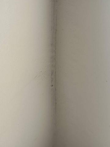 甲殼類大頭呆 - 新竹市，社區：金雅昕觀邸，施工前