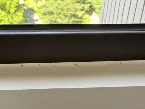 甲殼類大頭呆 - 新竹市，社區：金雅昕觀邸，施工前