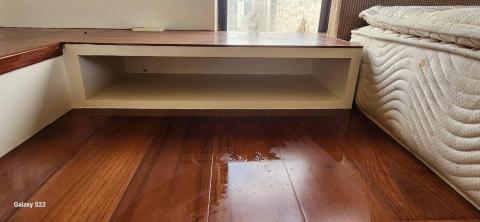 甲殼類大頭呆 - 新竹縣竹北市，社區：家華國寶，油漆完成品