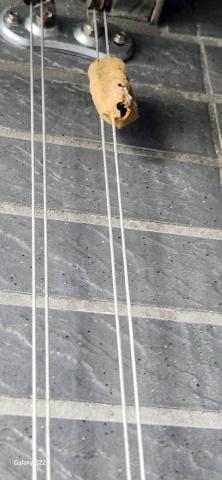 甲殼類大頭呆 - 新竹市，社區：金雅昕觀邸，施工前