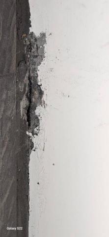 甲殼類大頭呆 - 新竹市，社區：金雅昕觀邸，施工前