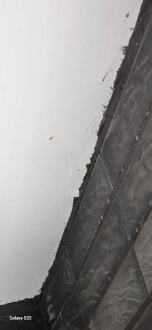 甲殼類大頭呆 - 新竹市，社區：金雅昕觀邸，施工前