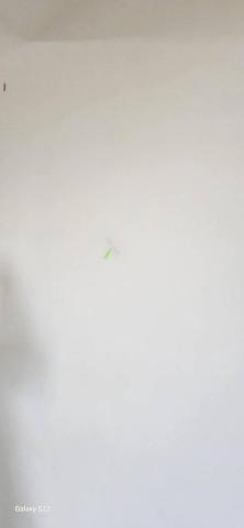 甲殼類大頭呆 - 新竹市，社區：金雅昕觀邸，施工前