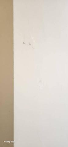 甲殼類大頭呆 - 新竹縣新豐鄉，社區：理想國，防護+除膠+壁癌上防水漆