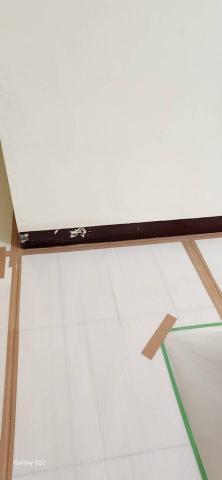 甲殼類大頭呆 - 新竹縣新豐鄉，社區：理想國，防護+除膠+壁癌上防水漆+批土