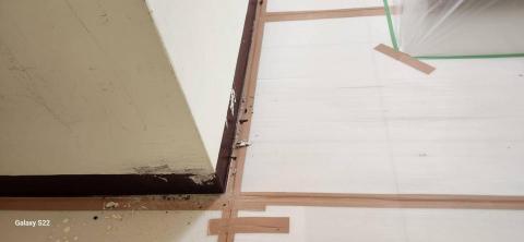 甲殼類大頭呆 - 新竹縣新豐鄉，社區：理想國，防護+除膠+壁癌上防水漆