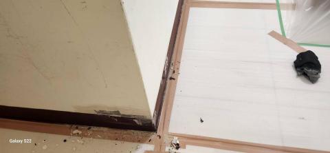 甲殼類大頭呆 - 新竹縣新豐鄉，社區：理想國，防護+除膠+壁癌上防水漆