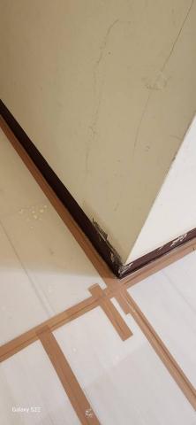 甲殼類大頭呆 - 新竹縣新豐鄉，社區：理想國，防護+除膠+壁癌上防水漆+批土