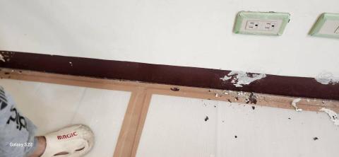 甲殼類大頭呆 - 新竹縣新豐鄉，社區：理想國，防護+除膠+壁癌上防水漆