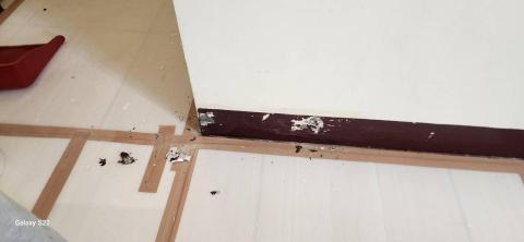 甲殼類大頭呆 - 新竹縣新豐鄉，社區：理想國，防護+除膠+壁癌上防水漆