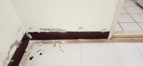 甲殼類大頭呆 - 新竹縣新豐鄉，社區：理想國，防護+除膠+壁癌上防水漆