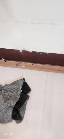 甲殼類大頭呆 - 新竹縣新豐鄉，社區：理想國，防護+除膠+壁癌上防水漆