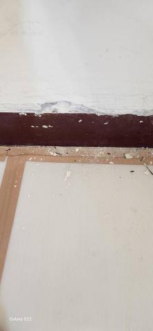 甲殼類大頭呆 - 新竹縣新豐鄉，社區：理想國，防護+除膠+壁癌上防水漆