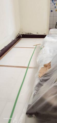 甲殼類大頭呆 - 新竹縣新豐鄉，社區：理想國，防護+除膠+壁癌上防水漆+批土