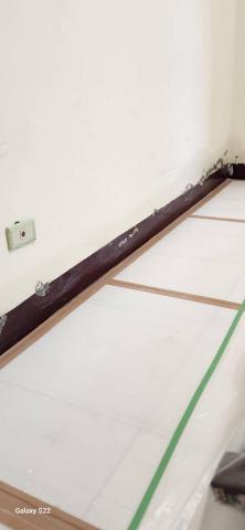 甲殼類大頭呆 - 新竹縣新豐鄉，社區：理想國，防護+除膠+壁癌上防水漆+批土