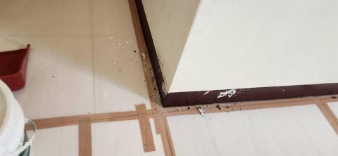 甲殼類大頭呆 - 新竹縣新豐鄉，社區：理想國，防護+除膠+壁癌上防水漆