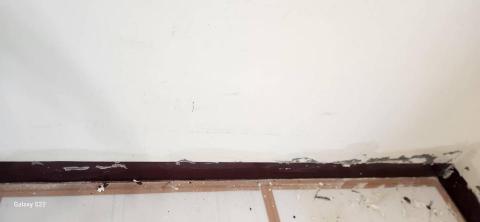 甲殼類大頭呆 - 新竹縣新豐鄉，社區：理想國，防護+除膠+壁癌上防水漆