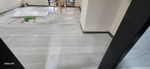 甲殼類大頭呆 - 新竹市，社區：金雅昕觀邸，施工前防護