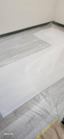 甲殼類大頭呆 - 新竹市，社區：金雅昕觀邸，施工前防護