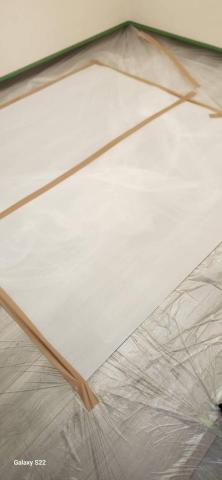 甲殼類大頭呆 - 新竹市，社區：金雅昕觀邸，施工前防護