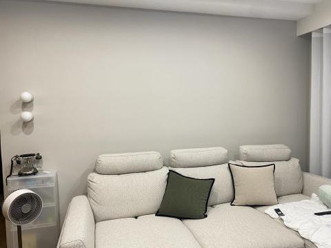 甲殼類大頭呆 - 新竹縣竹北市，社區：東方之星，乳膠漆