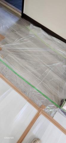 甲殼類大頭呆 - 新竹市，社區：金雅昕觀邸，施工前防護