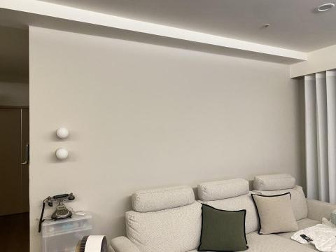 甲殼類大頭呆 - 新竹縣竹北市，社區：東方之星，乳膠漆