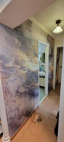 楊沃文 - 淘寶一幅過牆布畫。之後