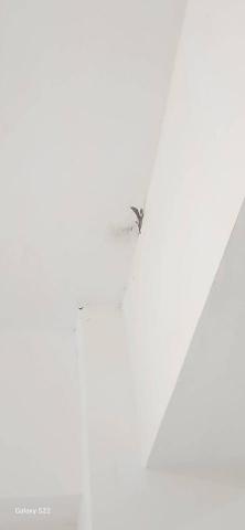 甲殼類大頭呆 - 新竹市，社區：金雅昕觀邸，陽台防水漆+批土3道+全室局部批土，施工中