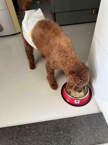 Crystal Fu -  Crystal Fu -