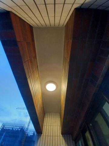 甲殼類大頭呆 - 新竹市，社區：金雅昕觀邸，水泥漆，完成品