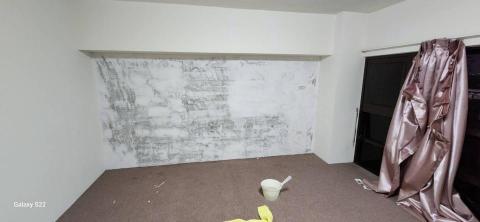 甲殼類大頭呆 - 苗栗縣竹南鎮，社區：La More，乳膠漆+壁紙清除+清運+局部批土，施工中