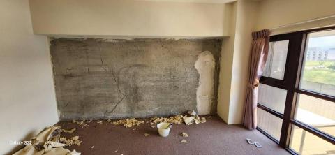 甲殼類大頭呆 - 