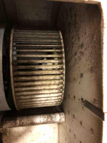 誠記冷氣 - 豬籠風扇勁黑、勁多霉