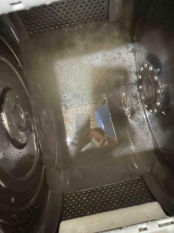 陳師傅 -  陳師傅 -