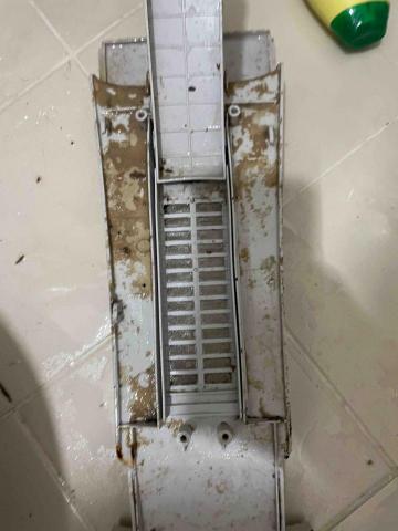 陳師傅 -  陳師傅 -