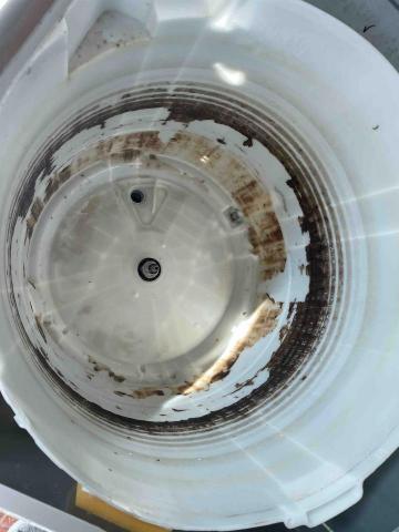 陳師傅 - 沒有一部洗衣機是乾淨的? 陳師傅 - 沒有一部洗衣機是乾淨的?