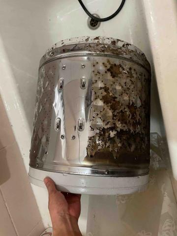 陳師傅 -  陳師傅 -