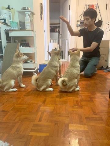 Carsten Cheung -  Carsten Cheung -