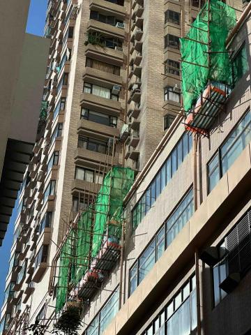 顯達棚業工程9️⃣7️⃣3️⃣3️⃣4️⃣9️⃣2️⃣2️⃣ - 士波玲棚架 顯達棚業工程9️⃣7️⃣3️⃣3️⃣4️⃣9️⃣2️⃣2️⃣ - 士波玲棚架